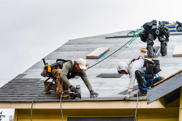 Professional Storm Damage Roof Repair technician working in Krum, TX